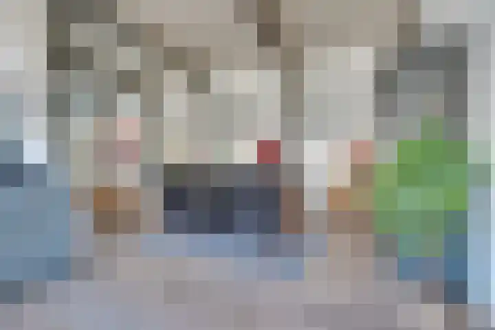 Grote Dam 1 De Rijp thumbnail 25