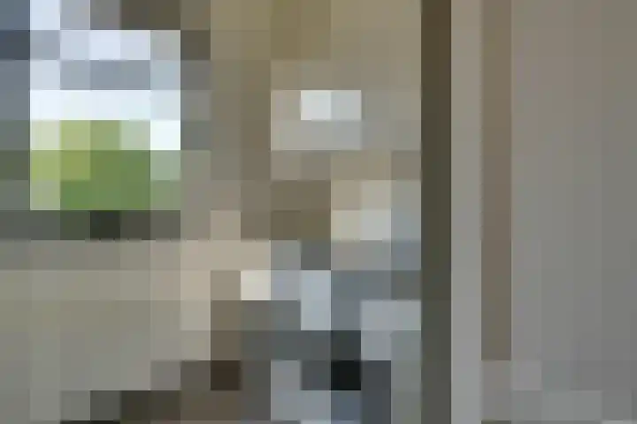Grote Dam 1 De Rijp thumbnail 28