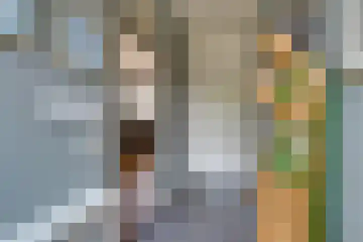 Grote Dam 1 De Rijp thumbnail 29