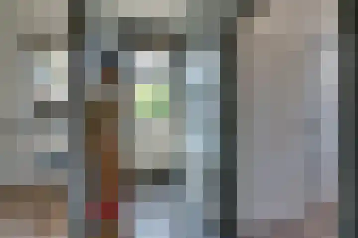 Grote Dam 1 De Rijp thumbnail 32
