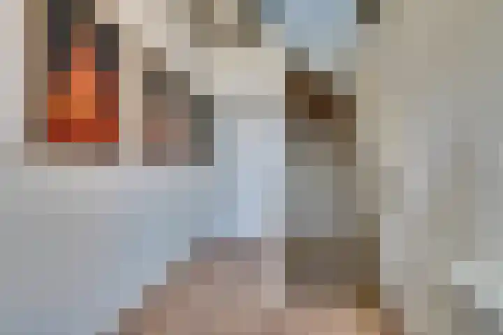 Grote Dam 1 De Rijp thumbnail 33