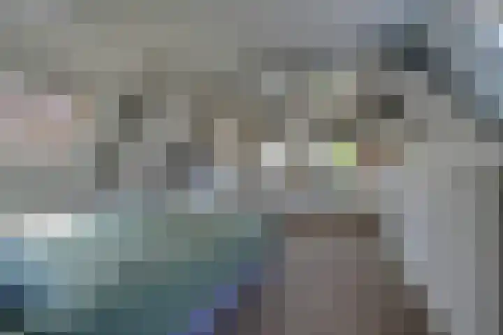Grote Dam 1 De Rijp thumbnail 35
