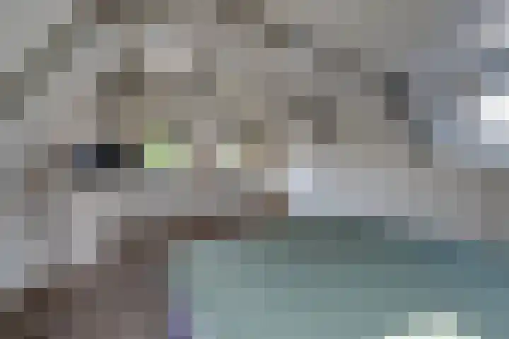 Grote Dam 1 De Rijp thumbnail 36