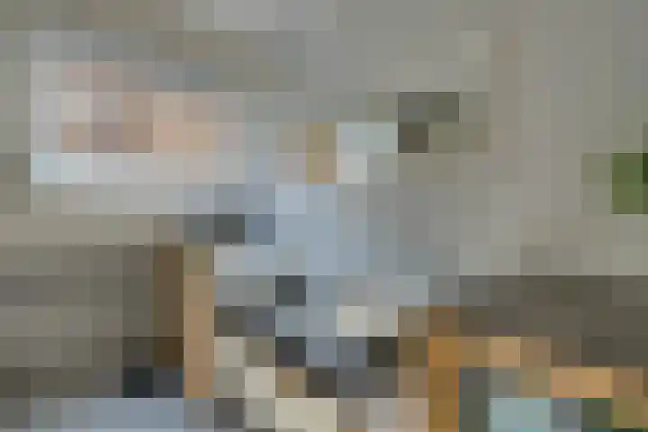 Grote Dam 1 De Rijp thumbnail 47