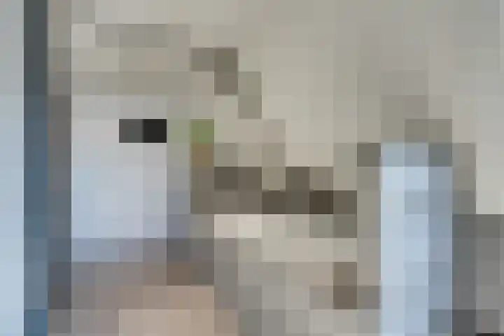 Grote Dam 1 De Rijp thumbnail 48