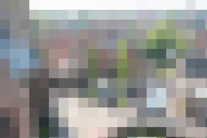 Grote Dam 1 De Rijp thumbnail 52