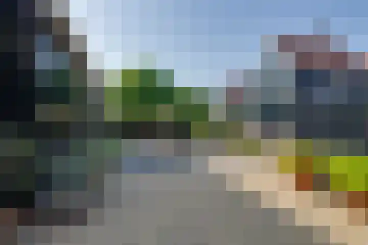 Grote Dam 1 De Rijp thumbnail 54