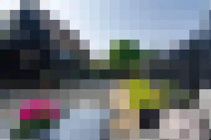 Grote Dam 1 De Rijp thumbnail 55