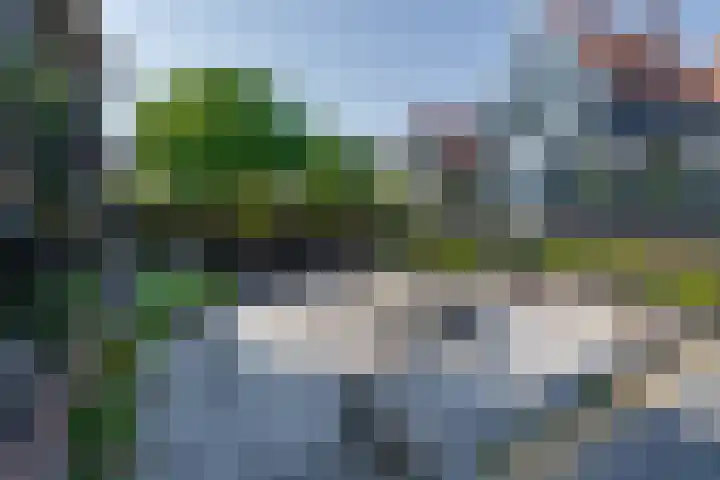 Grote Dam 1 De Rijp thumbnail 58