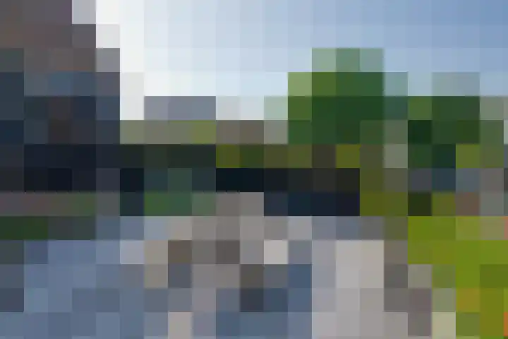 Grote Dam 1 De Rijp thumbnail 59