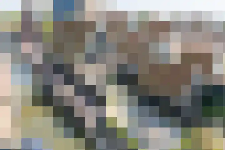 Grote Dam 1 De Rijp thumbnail 6