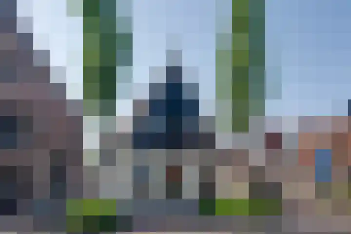 Grote Dam 1 De Rijp thumbnail 69