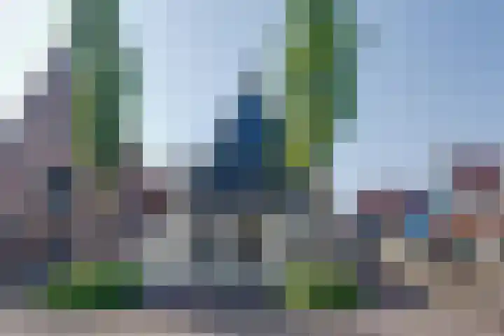 Grote Dam 1 De Rijp thumbnail 7