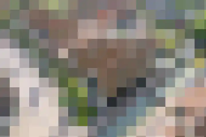 Grote Dam 1 De Rijp thumbnail 70