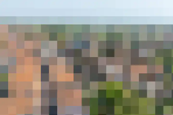 Grote Dam 1 De Rijp thumbnail 71
