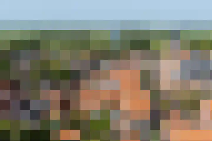Grote Dam 1 De Rijp thumbnail 73