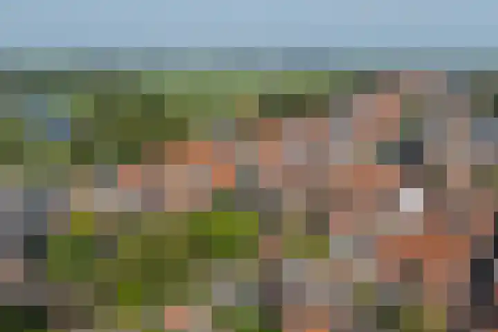 Grote Dam 1 De Rijp thumbnail 74