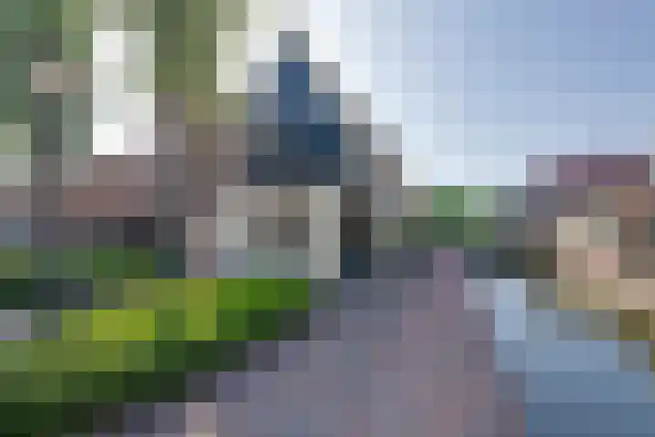 Grote Dam 1 De Rijp thumbnail 8