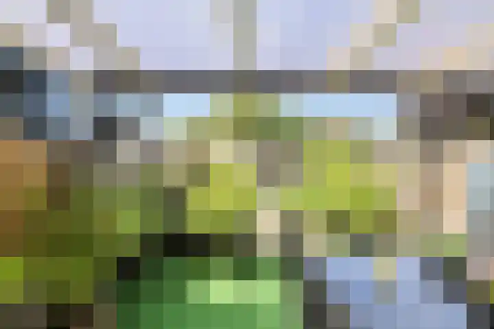 Grote Dijk 2 Breda thumbnail 32