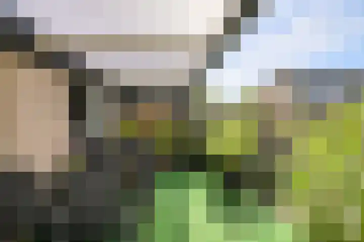 Grote Dijk 2 Breda thumbnail 34