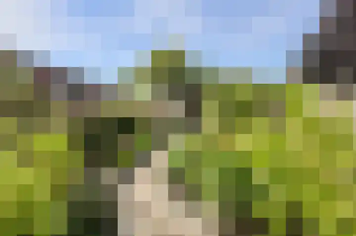 Grote Dijk 2 Breda thumbnail 35