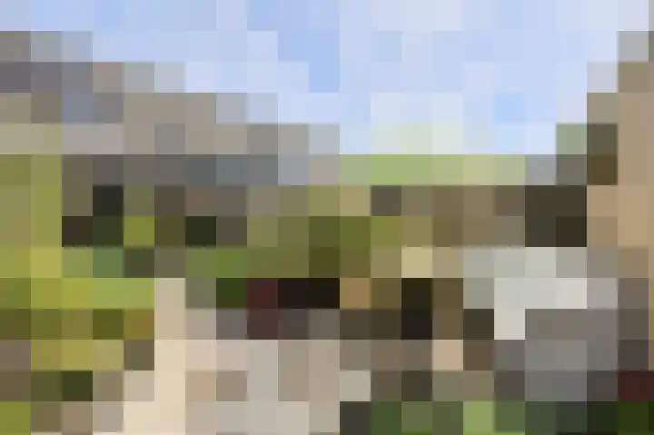 Grote Dijk 2 Breda thumbnail 36