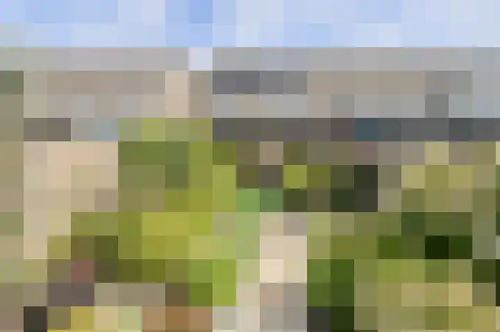 Grote Dijk 2 Breda thumbnail 37