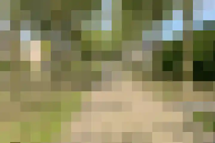 Grote Dijk 2 Breda thumbnail 40