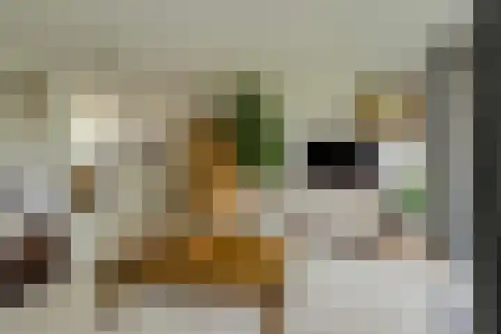 Grote Dijk 2 Breda thumbnail 8