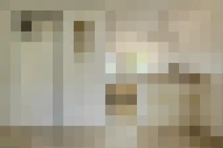Grote Dijk 2 Breda thumbnail 9