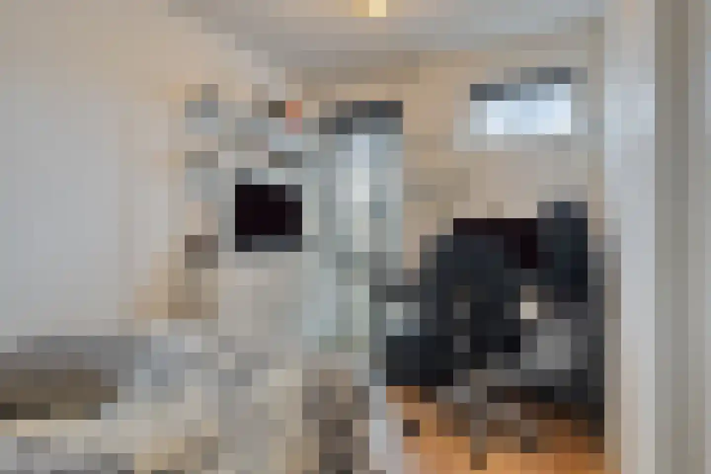 Grote Dijk 9 Breda thumbnail 18