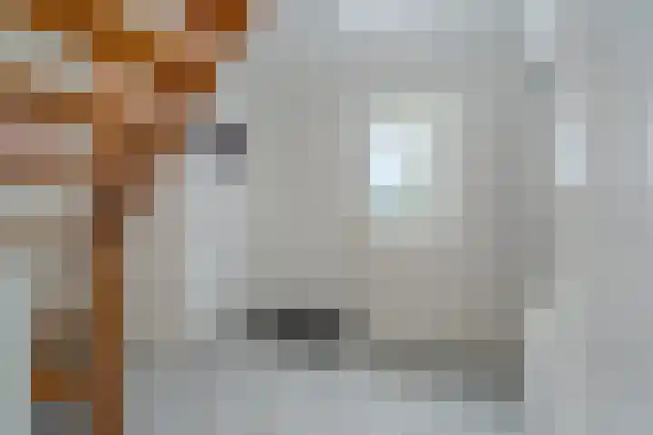 Grote Dijkstraat 18 Spijk thumbnail 14