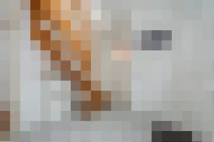 Grote Dijkstraat 18 Spijk thumbnail 15
