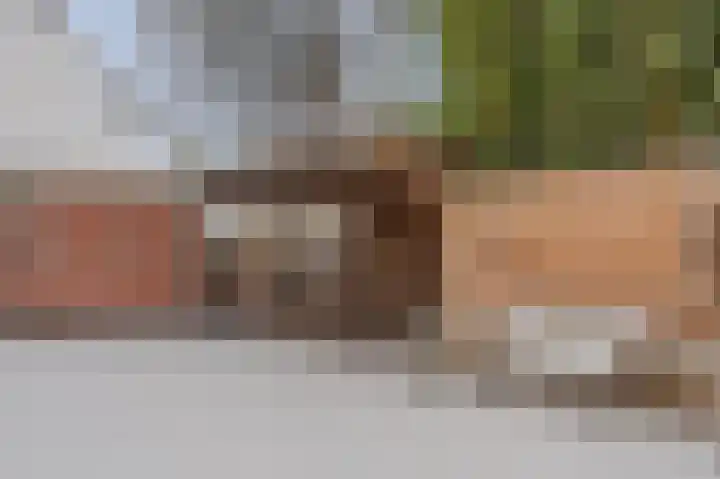 Grote Dijkstraat 18 Spijk thumbnail 32