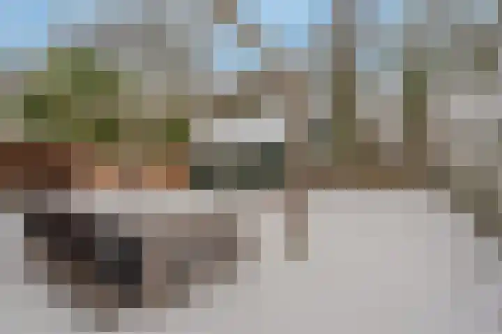 Grote Dijkstraat 18 Spijk thumbnail 35