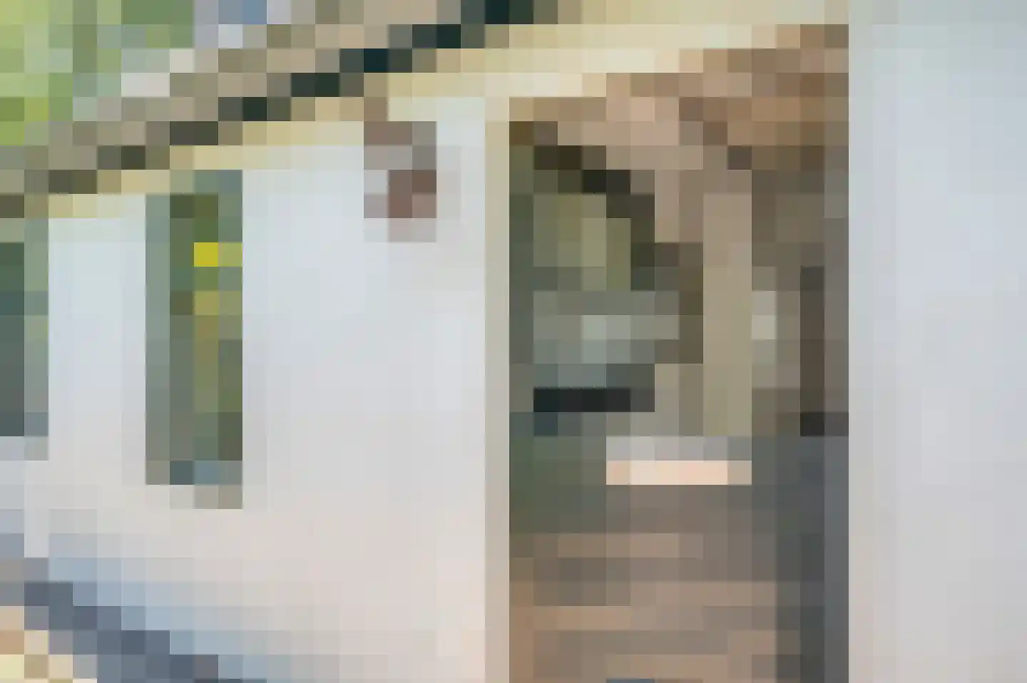 Grote Dijkstraat 34 Spijk thumbnail 18