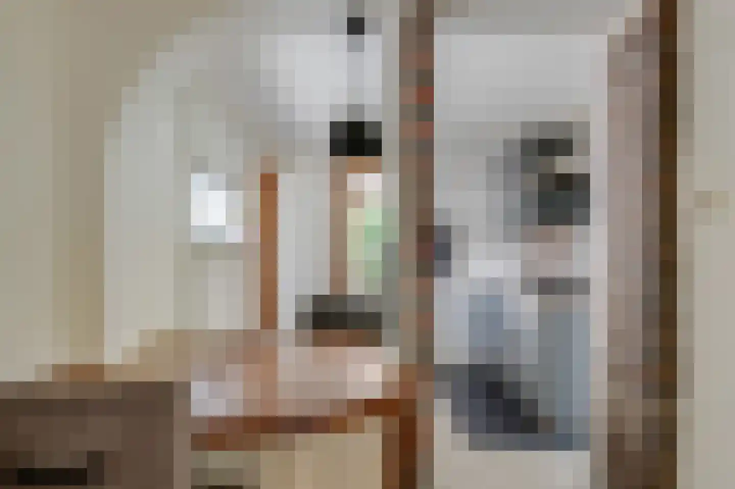 Grote Dijkstraat 34 Spijk thumbnail 24