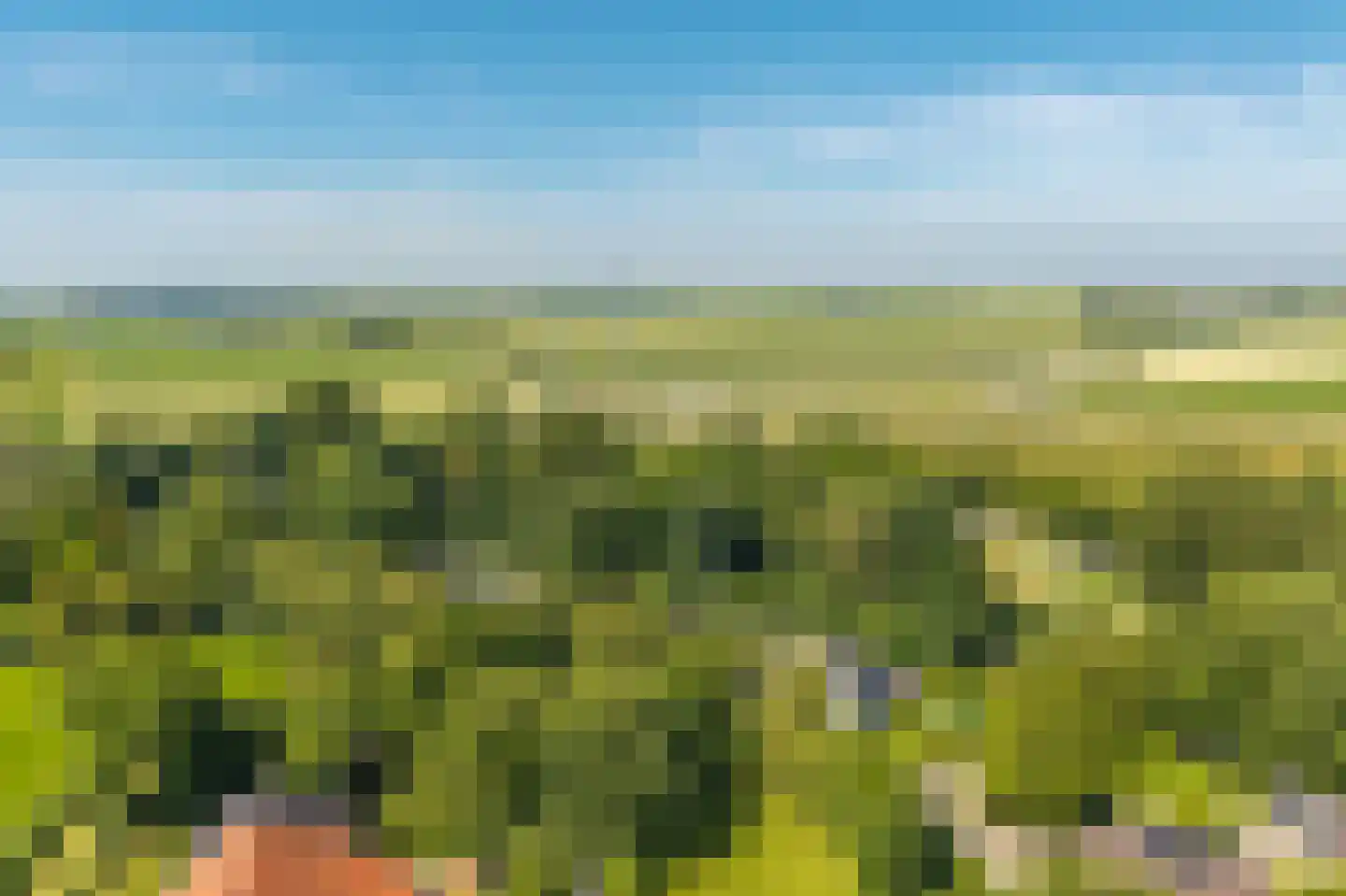 Grote Dijkstraat 34 Spijk thumbnail 9