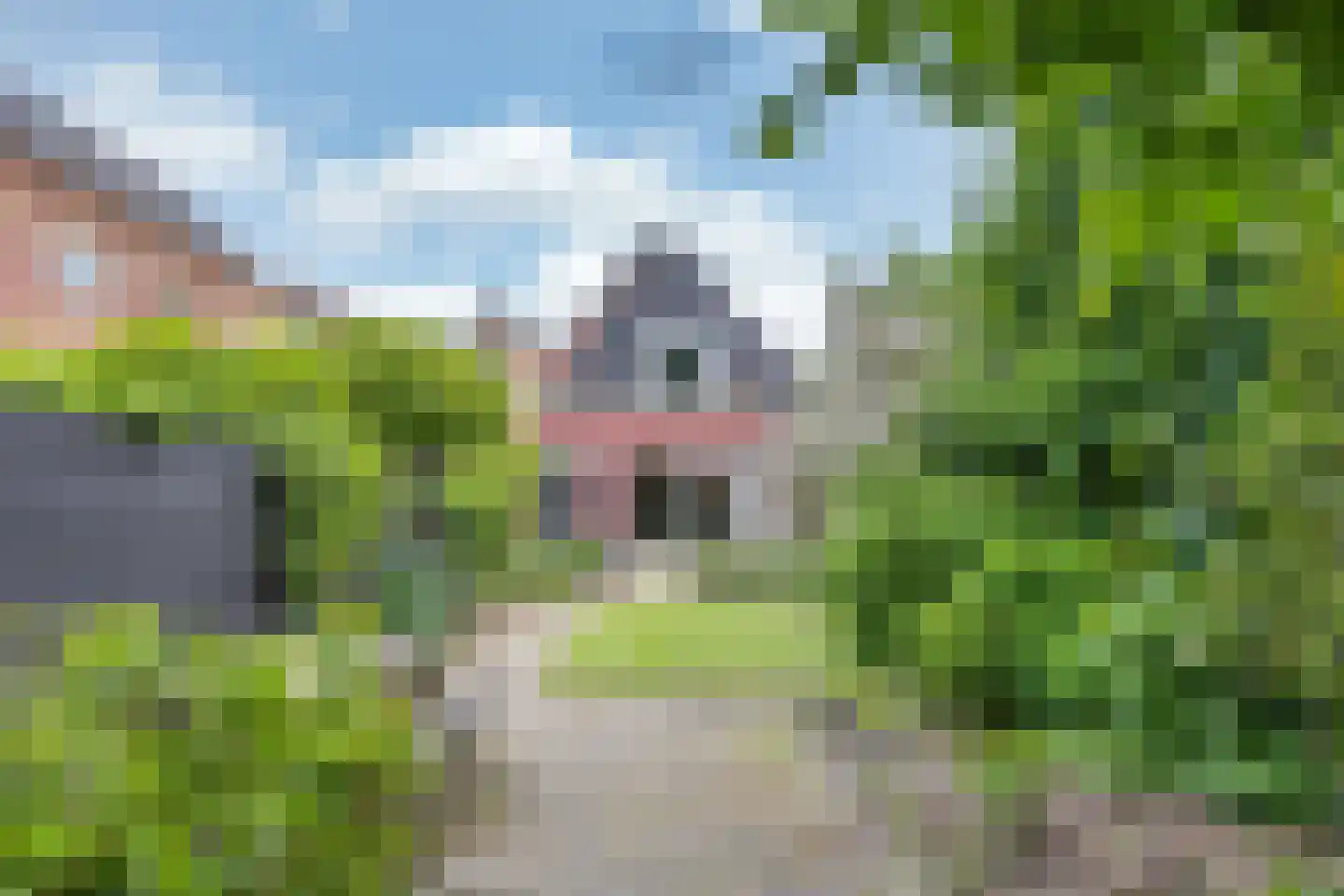 Grote Dijlakker 19 Bolsward thumbnail 48