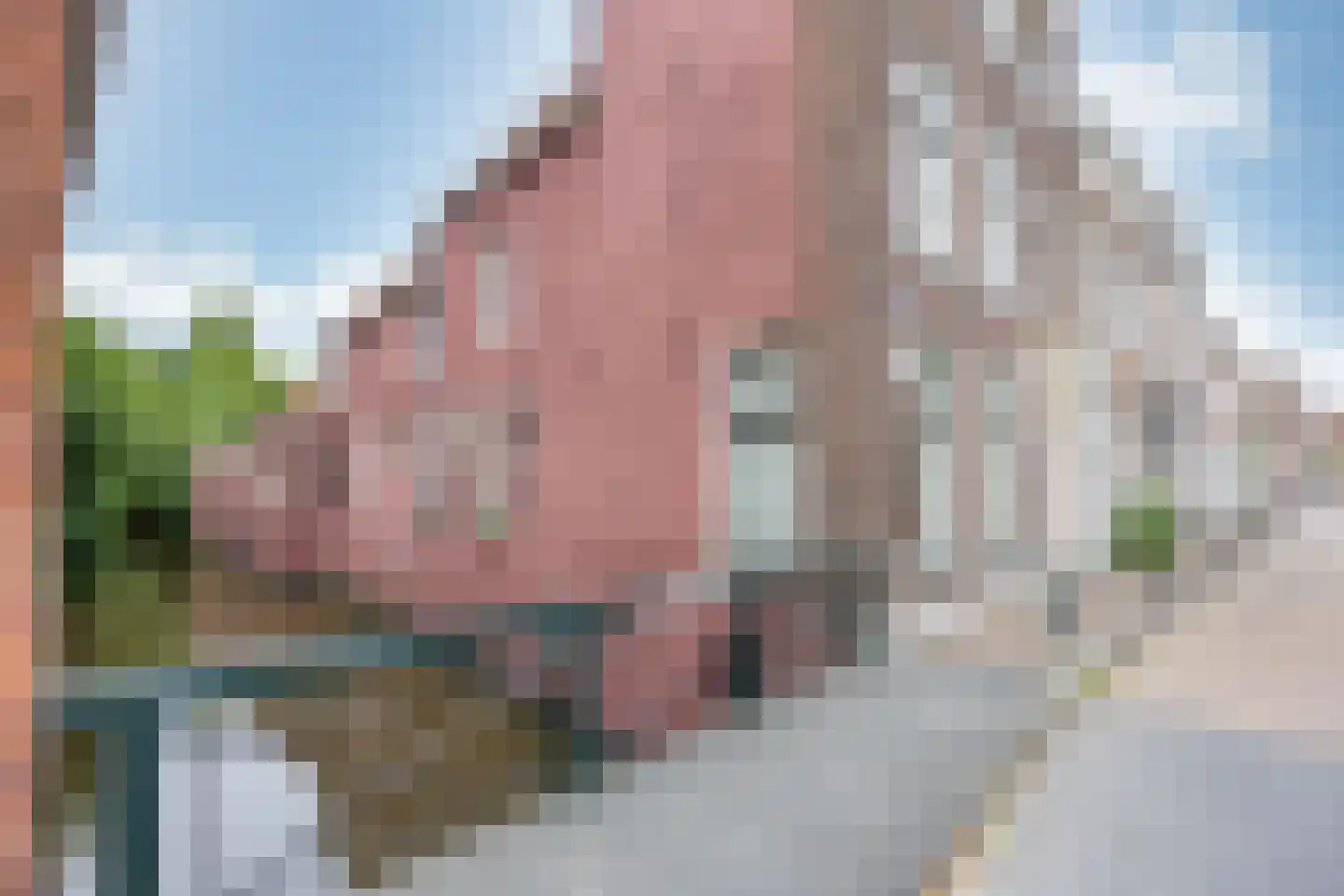 Grote Dijlakker 19 Bolsward thumbnail 61