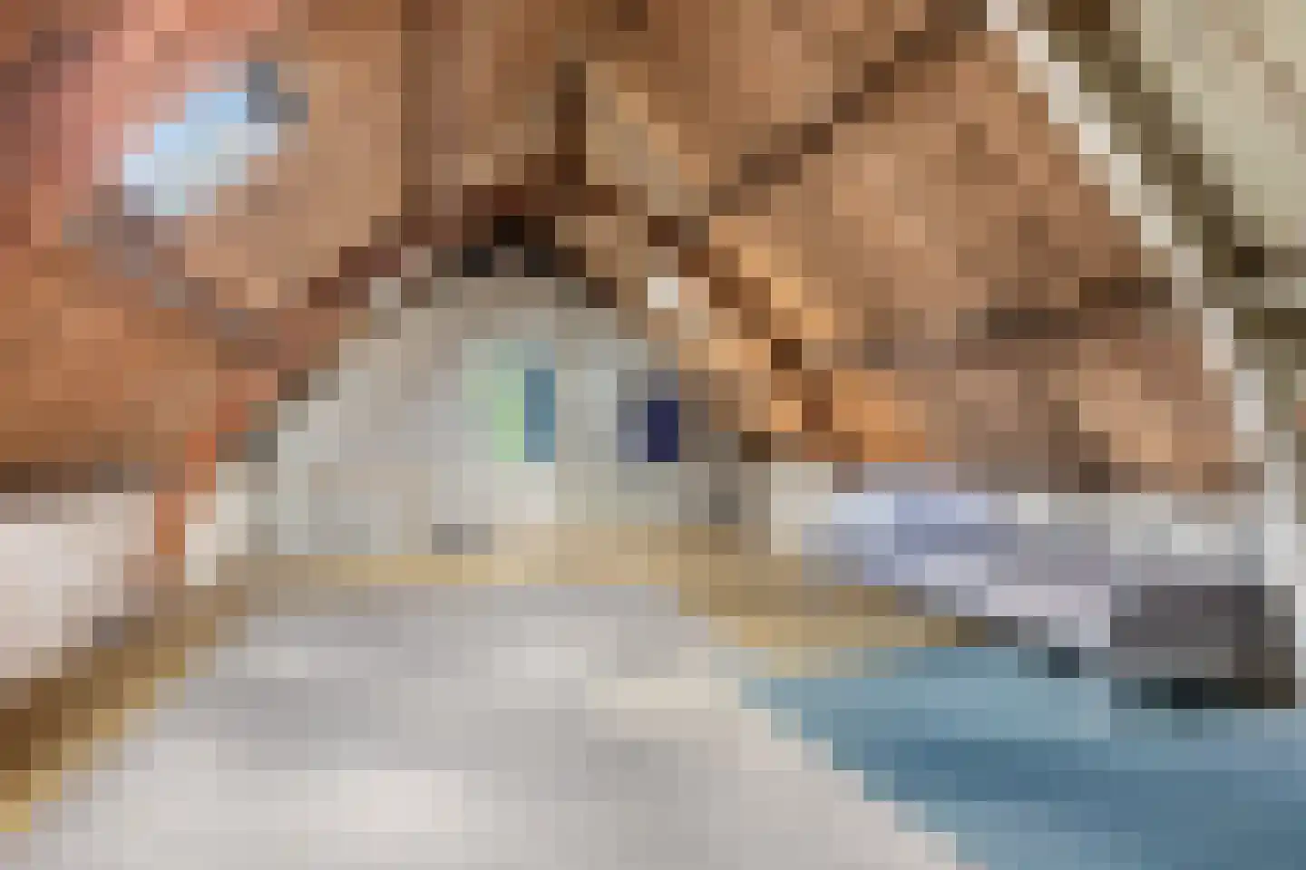 Grote Dijlakker 21 Bolsward thumbnail 32