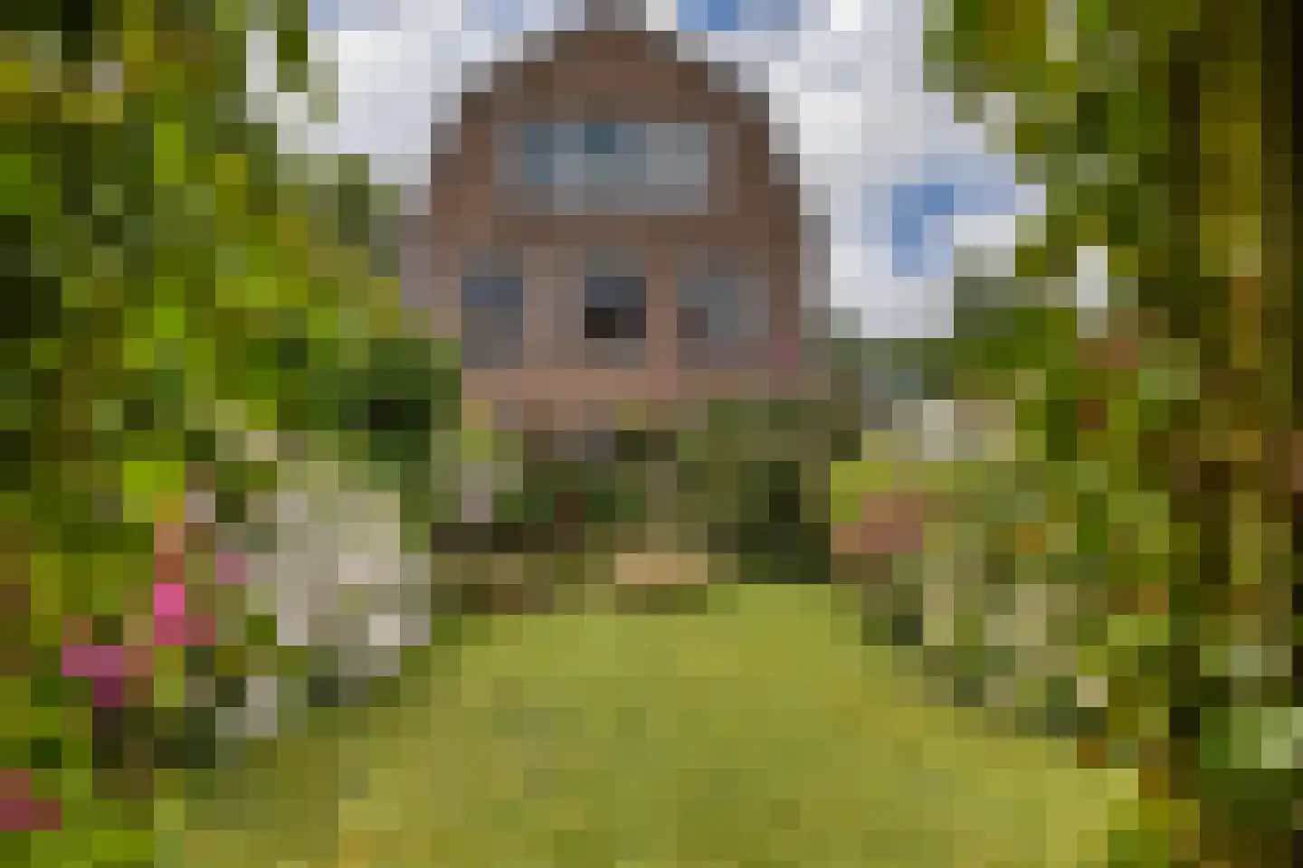 Grote Dijlakker 21 Bolsward thumbnail 37