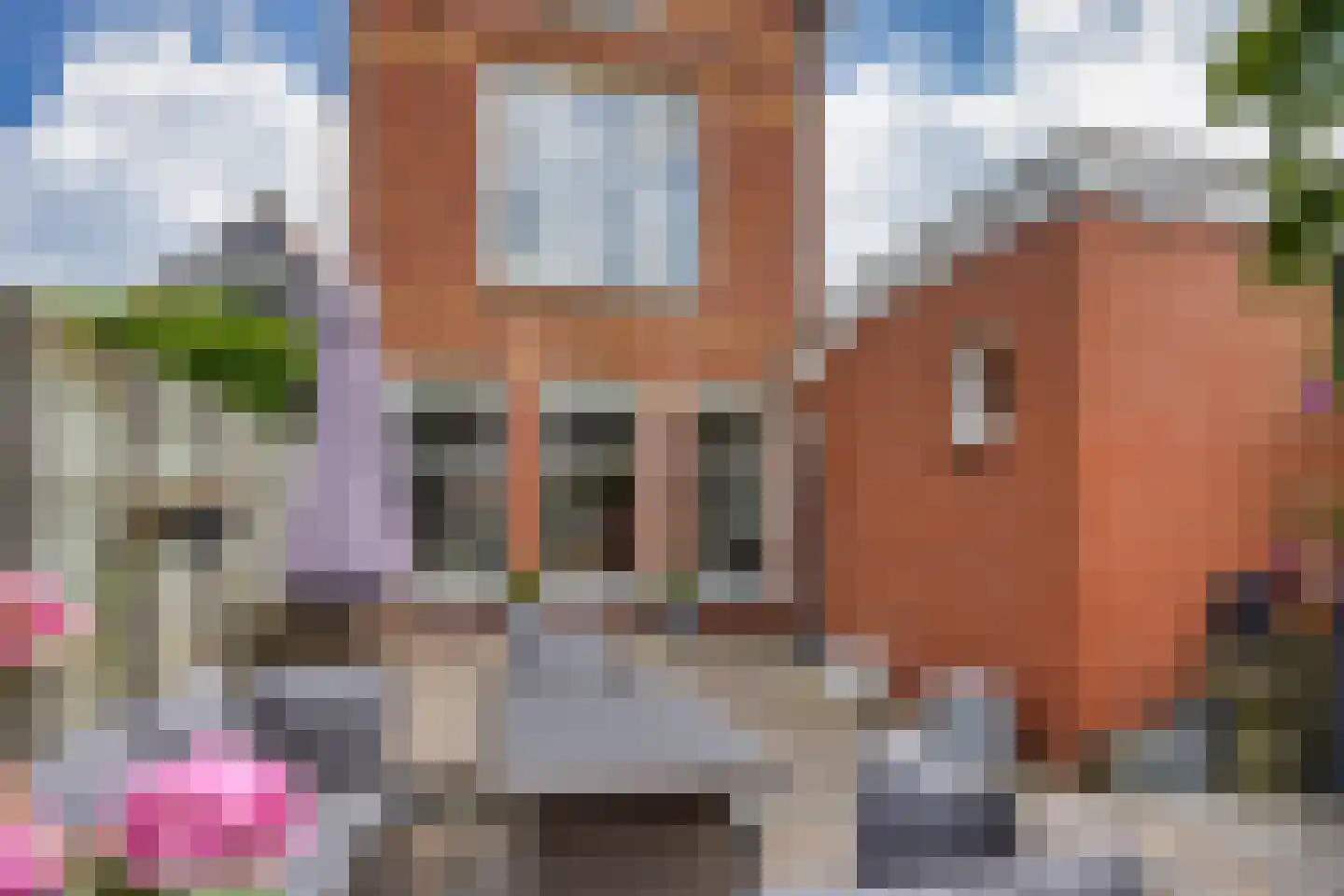 Grote Dijlakker 21 Bolsward thumbnail 38