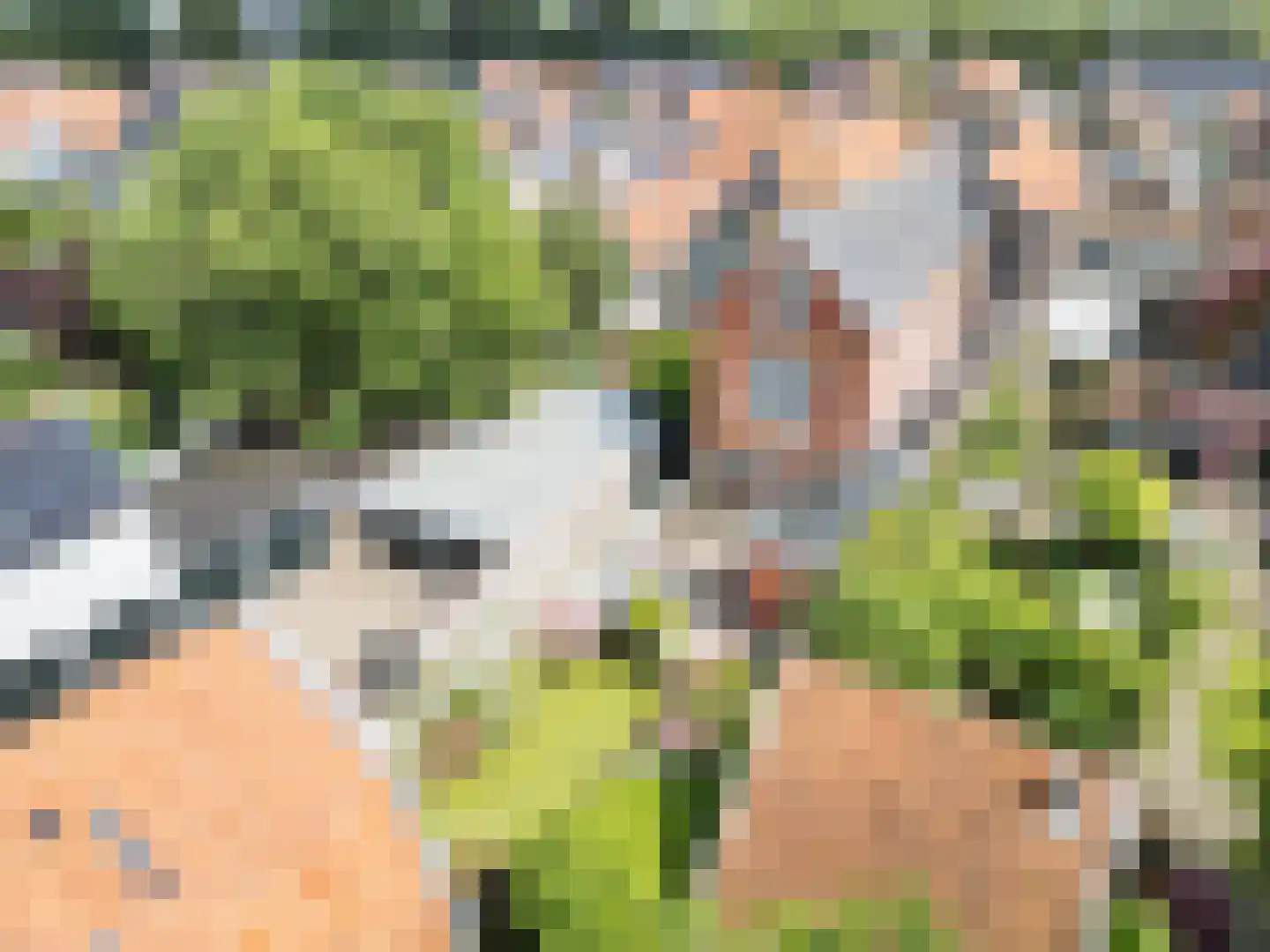 Grote Dijlakker 21 Bolsward thumbnail 4