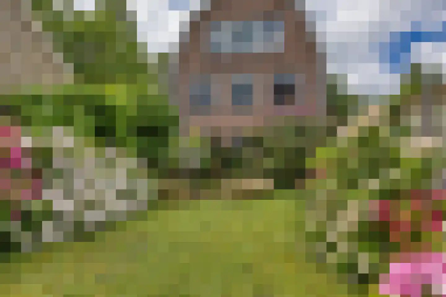 Grote Dijlakker 21 Bolsward thumbnail 54
