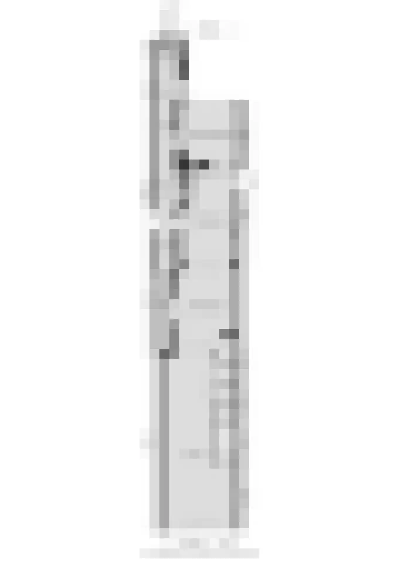 Grote Dijlakker 21 Bolsward thumbnail 61