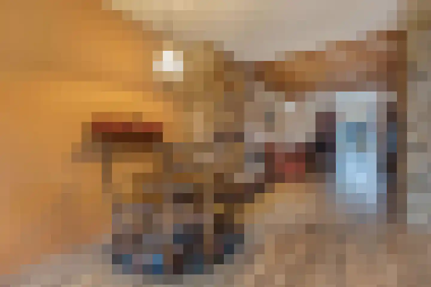 Grote Dijlakker 26 Bolsward thumbnail 12