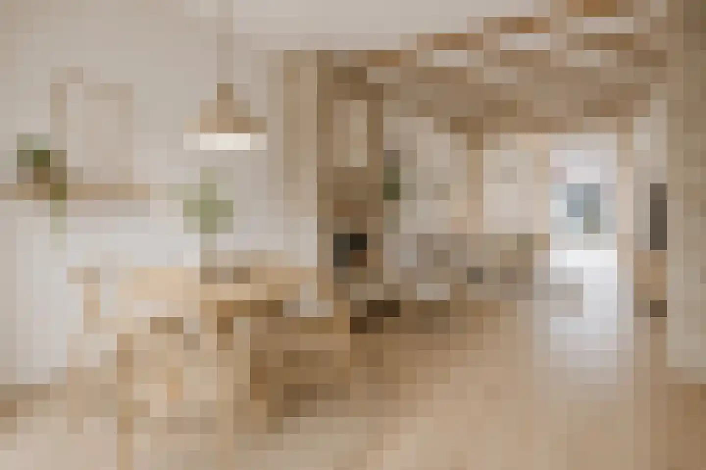 Grote Dijlakker 26 Bolsward thumbnail 13