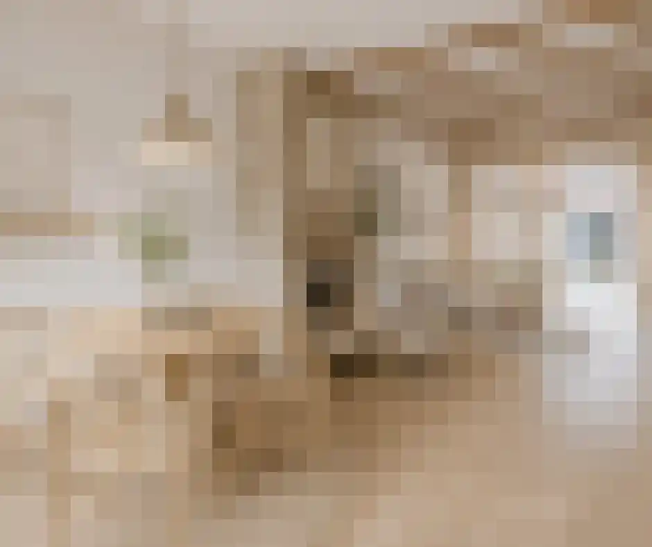 Grote Dijlakker 26 Bolsward thumbnail 13