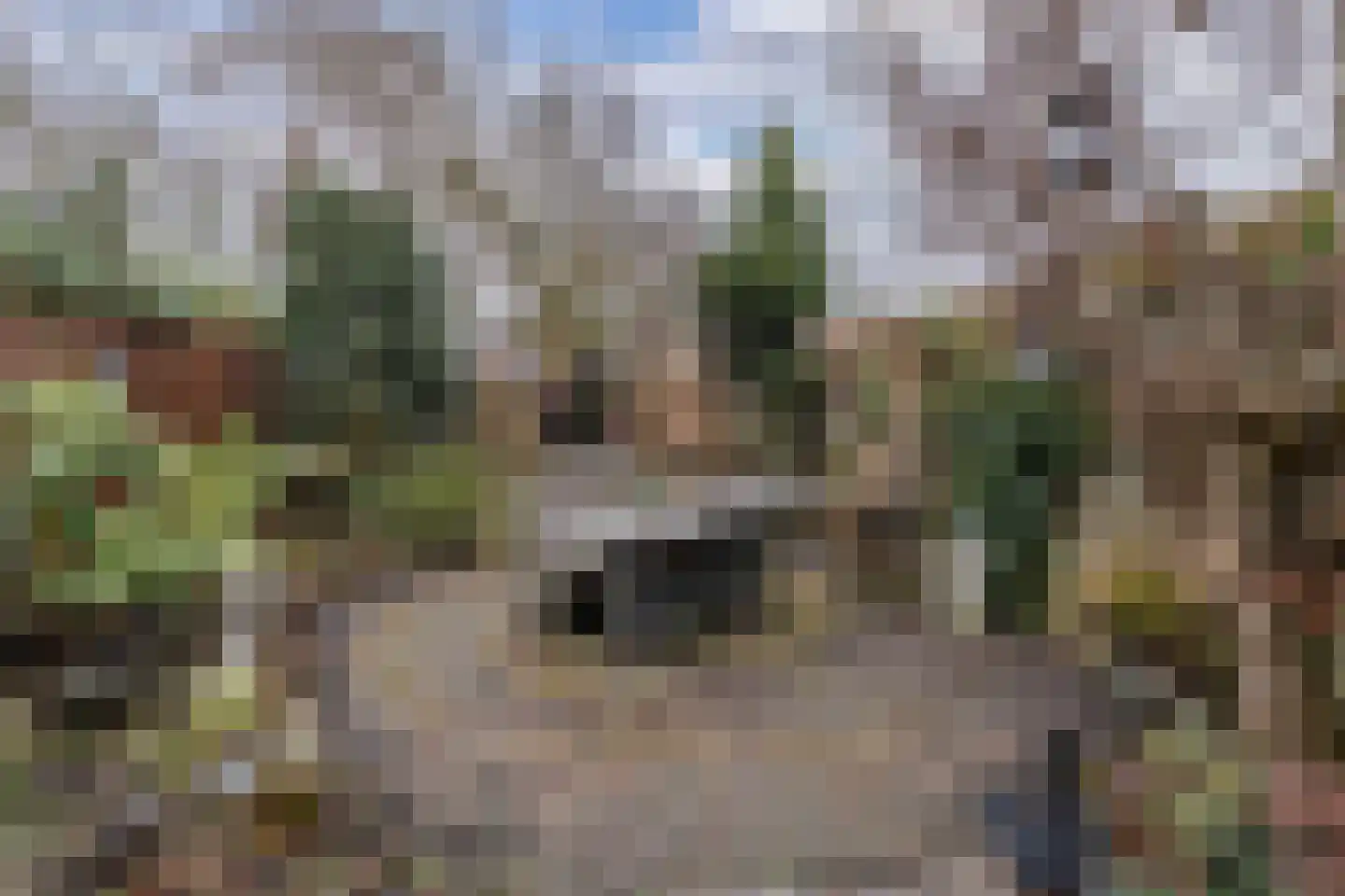 Grote Dijlakker 26 Bolsward thumbnail 17